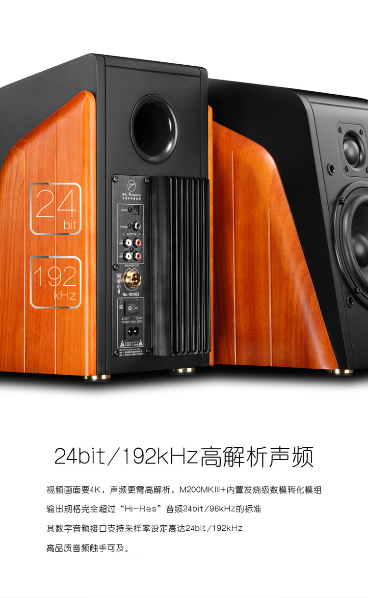 先科扩音器(图1)